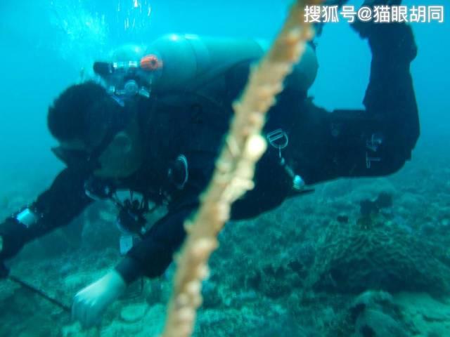救援可怜的穴居人